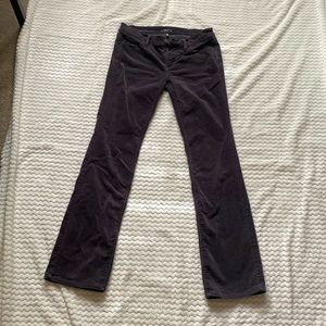 Ann Taylor LOFT violet corduroy jeans